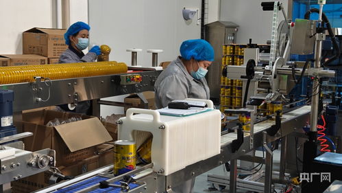 科技創(chuàng)新驅(qū)動(dòng)產(chǎn)業(yè)升級(jí) 雙輪驅(qū)動(dòng)綠色發(fā)展